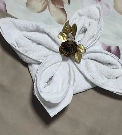 Apartment Simic Kursumlija